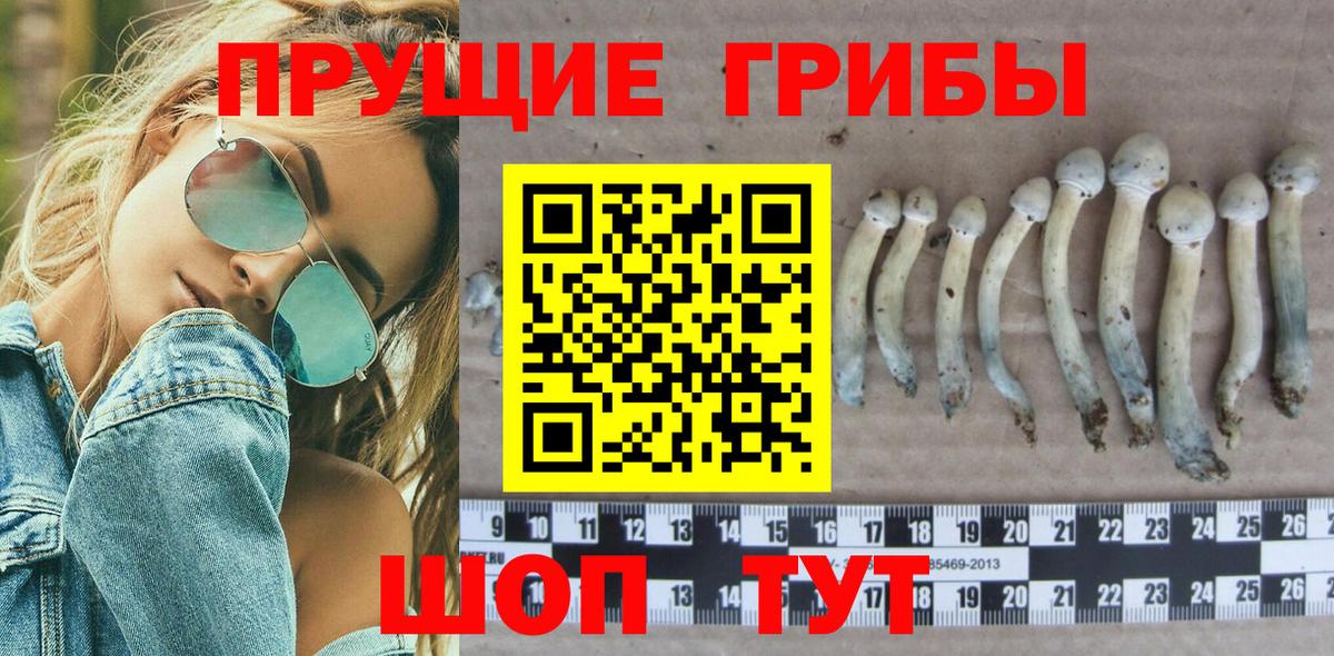 Бугуруслан  Галлюциногенные грибы Magic Shrooms  Вход с VPN 