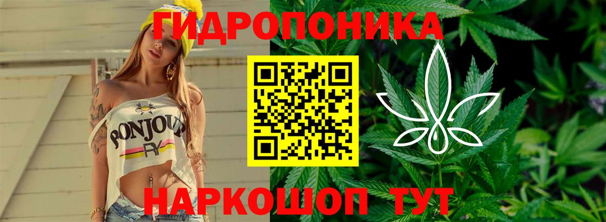 Каннабис White Widow Бугуруслан